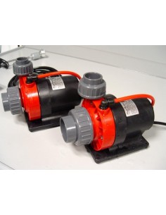 Red Dragon RD3 Speedy 2