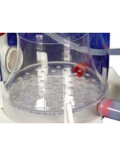 Bubble King Supermarine 250 2