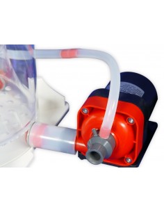 Bubble King Supermarine 250 RD3 Speedy 2