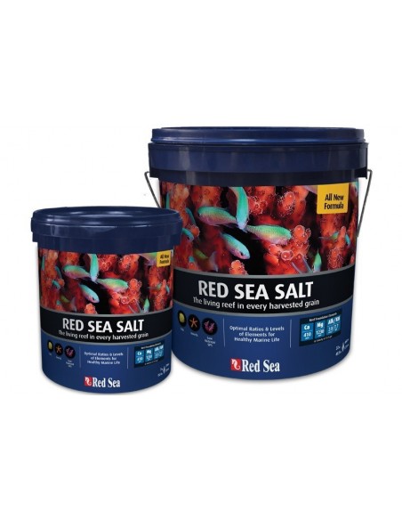 Red Sea Salt