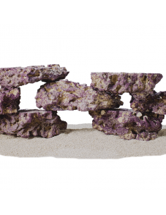 Carib Sea Life Rock Shelf 2