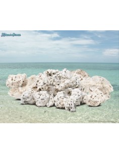 Nature´s Ocean Coral base Rock 2
