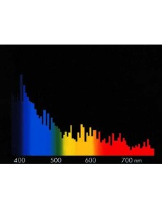 Megachrome Marine 12,5KK 2