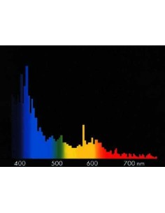 Megachrome Coral 14,5KK 2