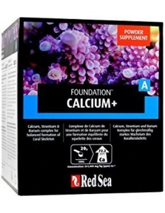 Red Sea Reef Foundation A 2