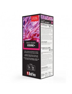 Red Sea Coral Colors A 2