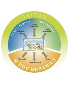Triton N-Doc Lab Test 2