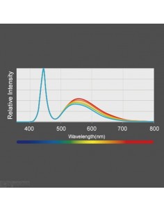 KESSIL A360 X Tuna Sun 2