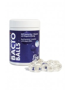 FM Bacto Reef Balls 2