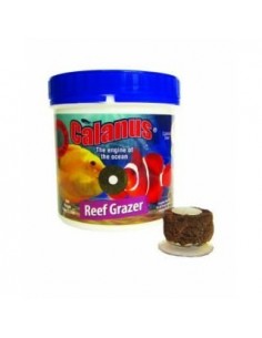 Calanus Reef Grazer 2