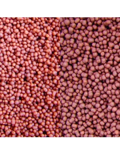 Calanus Pellets 2