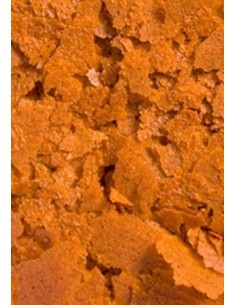 Ocean Nutrition Formula One Flakes 2