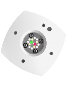 AI Prime Freshwater 2