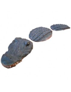 Flytande 3-delad krokodil