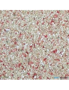 Fiji Pink Live Sand 2