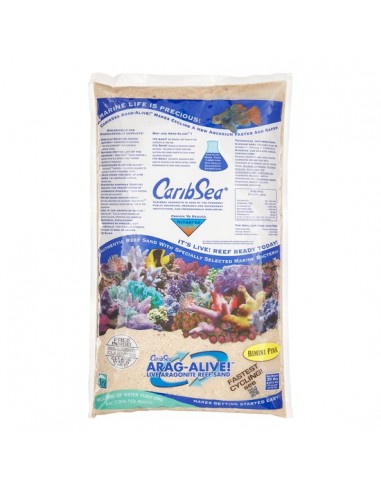 Caribsea Bimini Pink