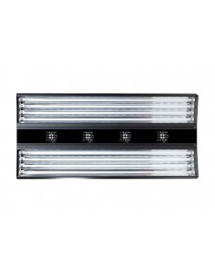 Giesemann Aurora V8 2