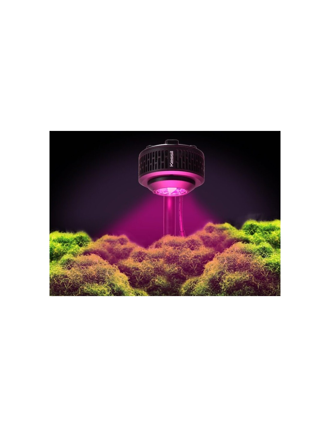 Kessil A360 X Refugium Kessil A360 X Refugium
