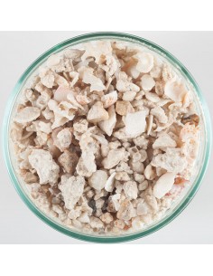 CaribSea Florida Crushed Coral 2