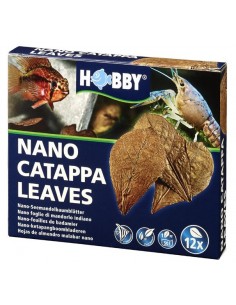 Hobby Catappa Leaves