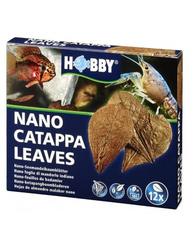 Hobby Catappa Leaves